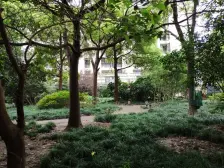 西藏北路·联富假日公寓·2室·1厅