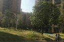月亮湾草莓街区实景图