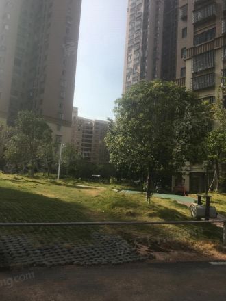 月亮湾草莓街区实景图