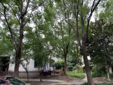 新出复地二期临河独栋,经典户型,送100平大露台,看房方便