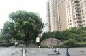南通运杰龙馨园实景图