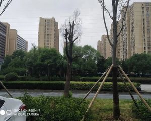 海棠湾家园纯毛坯大三房中间楼层出售