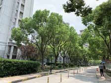 二期房龄2012年的,精装三年,可拎包入住,落地窗,得房高