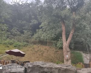 顺天御岭1室2厅南