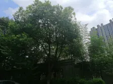 小区前排 南北通透户型 采光伍敌 无噪音干扰