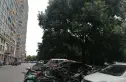 五米阳光实景图