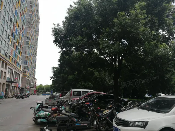 五米阳光实景图