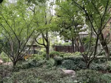 复地北桥城一期组团联排,客厅挑高近6.8米,全套房送车库车位