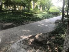 电梯房,精装,产权清晰新上房源