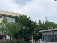 三期临河大独栋,北进门南向大花园,原始屋况,诚售