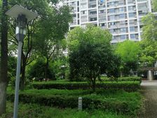 无抵押产权清晰电梯房,必看好房