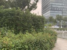 无抵押,通风好随时看房店长力推