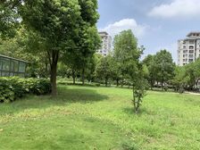 精装两房,拎包入住