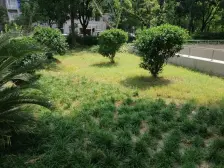 嘉定新城·盘古园府·3室·2厅