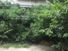 带露台带屋顶花园正规两房价格便宜,户型方正,