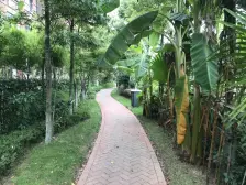 南北通透 3+2户型 带花园 双车位 随时看房