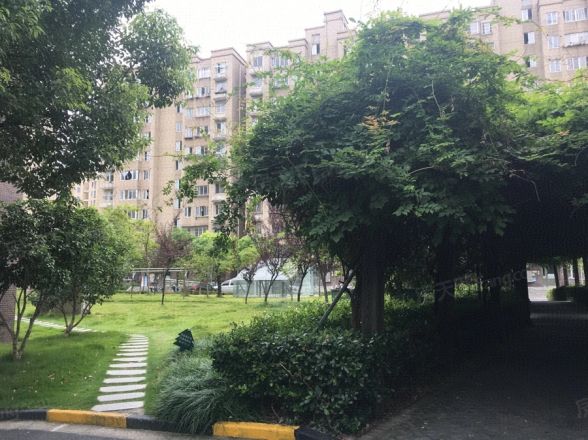 创新佳苑实景图