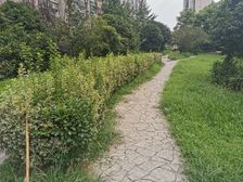 电梯房,客厅带阳台,三房朝南,交通便利,非底楼房