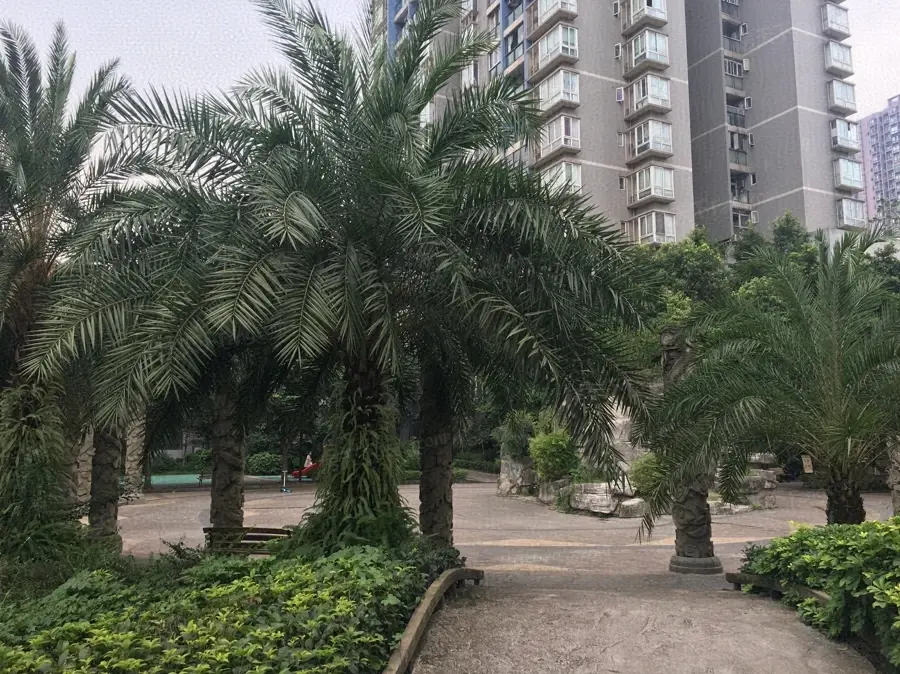 【重庆水务龙城天都小区,二手房,租房 重庆房天下