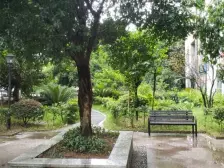 老城区 绿城上岛二房62万