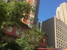 省实验旁 唯一住房 视野好 楼层好