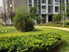 重庆绿岛中心 1室1厅 南