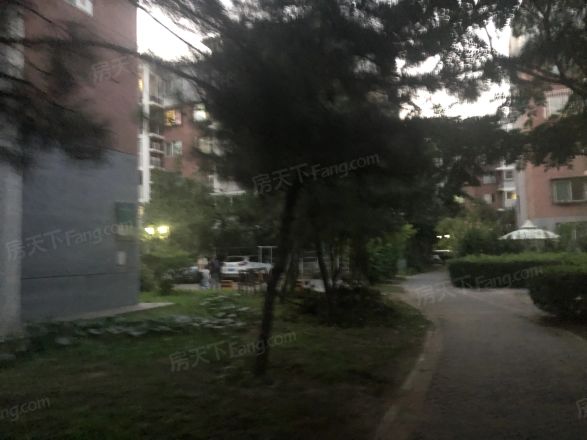 天露园二区实景图