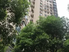 洋房,小区C位电梯小高层中高楼层好户型,位置相当安静