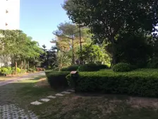 万达高层朝南边套双面采光精装拎包