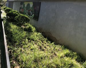 中关村东路111号院3室2厅南北