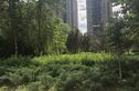北街家园六区实景图