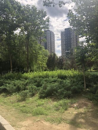 北街家园六区实景图