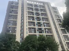 近地铁,精装,电梯房,无抵押,必看好房