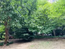 紫薇和苑 3室1厅 南