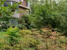 1楼带院,享受惬意生活,3代人居住,互不影响