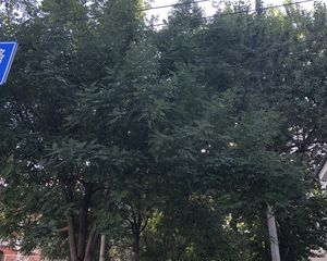 中关村东路106号低楼层一居室满五唯一