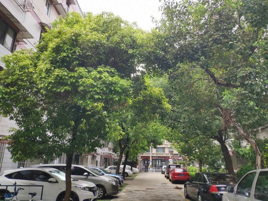 小区相关图