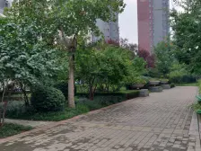 中央特区西苑 3室2厅 南 北