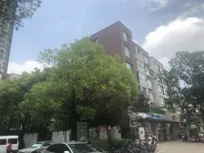 近地铁站及南翔印象城 全南满五刚需大一房