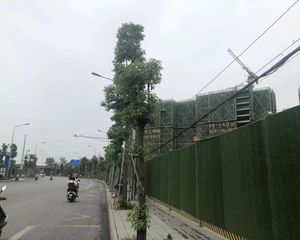 佳乐云锦阁 3室2厅 西南