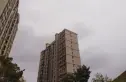 德基紫金南苑实景图