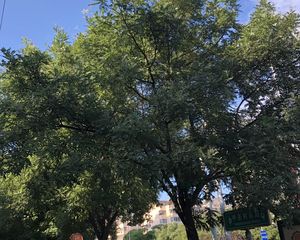 精装修业主诚心出售随时可以签约