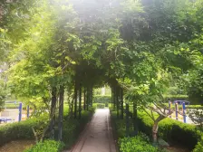 房龄新 正规商品房 中间楼层 电梯房 交通便捷 近医院