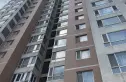 碧兴园实景图