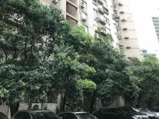 (3.4.10)虹桥路站,位置安静,高区视野,配套成熟