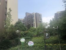 南翔·金地格林世界格林公馆·3室·2厅