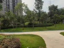 重庆绿岛中心 一室一厅 业主诚心出售