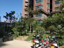 2梯4户 纯朝南三室两厅两卫 急卖 家具家电