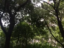 小区C位电梯小高层中高楼层好户型