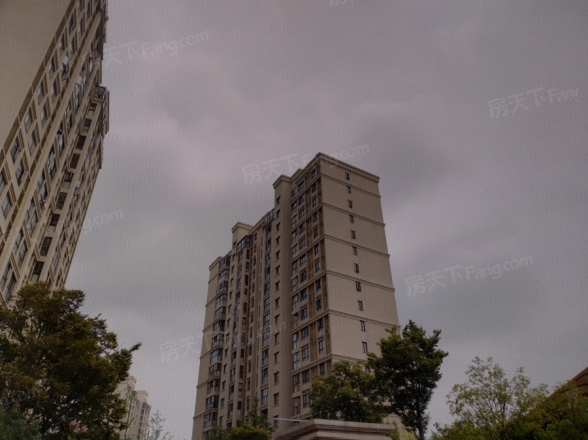 德基紫金南苑实景图